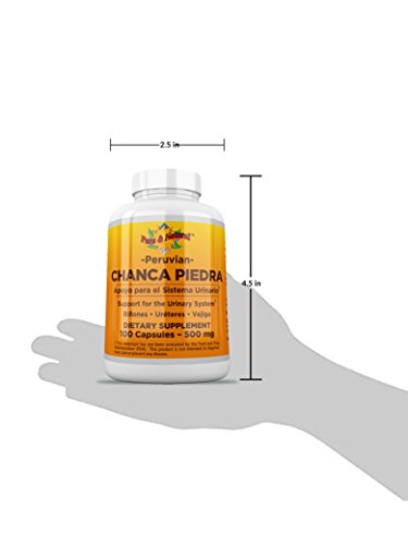 Beneficios de Chanca Piedra peruana