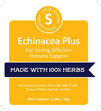 Beneficios de Echinacea en tu bienestar