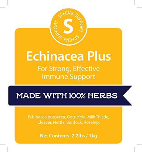 Beneficios de Echinacea en tu bienestar