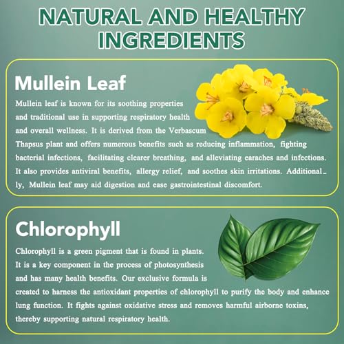Beneficios de Gotas de Mullein en la salud