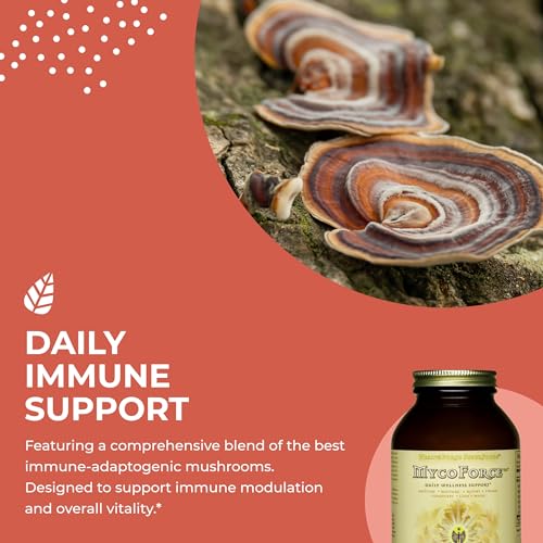 beneficios de hongos reishi