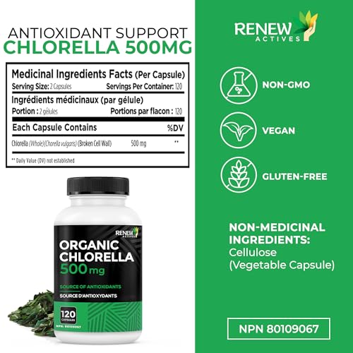 beneficios de la chlorella en la vitalidad
