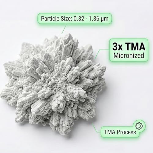 Beneficios de la clinoptilolita 95%