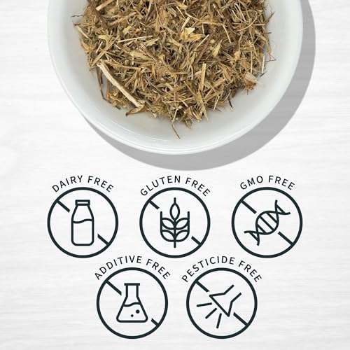 Beneficios de la Hierba del Sapo