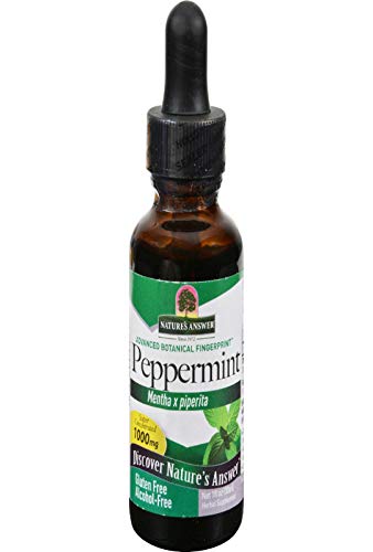 beneficios de la menta natural