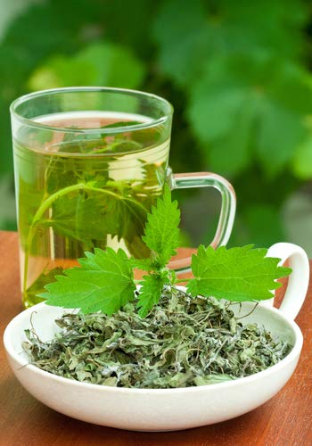 Beneficios de la ortiga para la salud