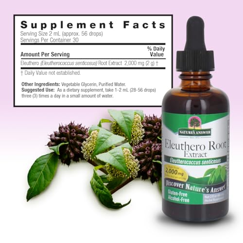 beneficios de la raíz de eleuterococo