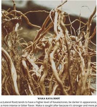 beneficios de la raíz de kava