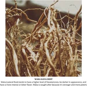 beneficios de la raíz de kava