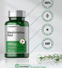beneficios de la raíz de malvavisco
