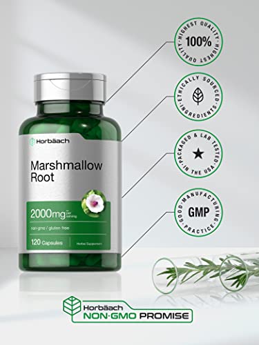 beneficios de la raíz de malvavisco