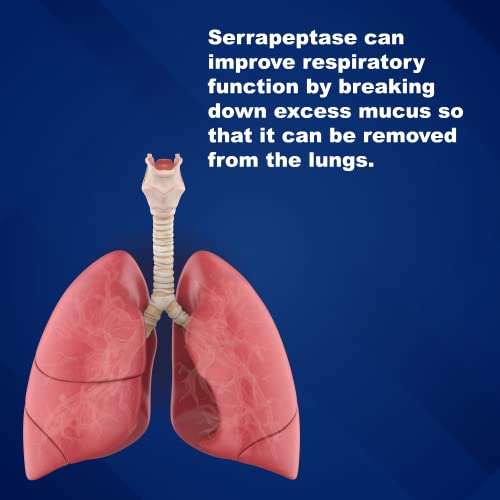 Beneficios de la serrapeptasa en el cuerpo