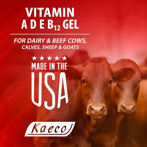 beneficios de la vitamina B12 líquida