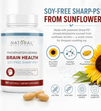 Beneficios de lecitina de girasol