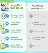 Beneficios de Mullein para los pulmones
