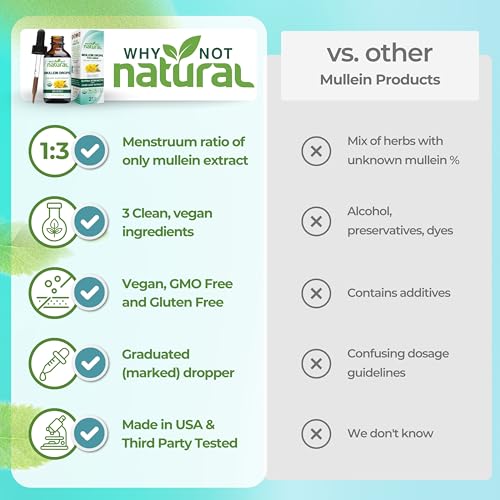 Beneficios de Mullein para los pulmones
