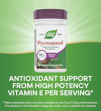 Beneficios de Pycnogenol para la salud