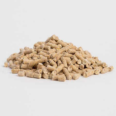 Beneficios de Vitamina E para salud equina