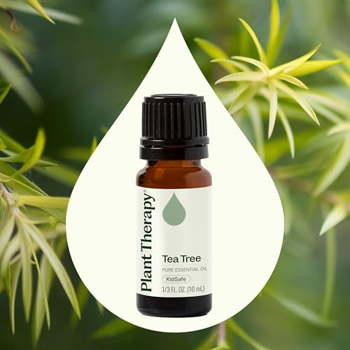 beneficios del aceite de árbol de té