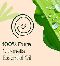 beneficios del aceite de citronela