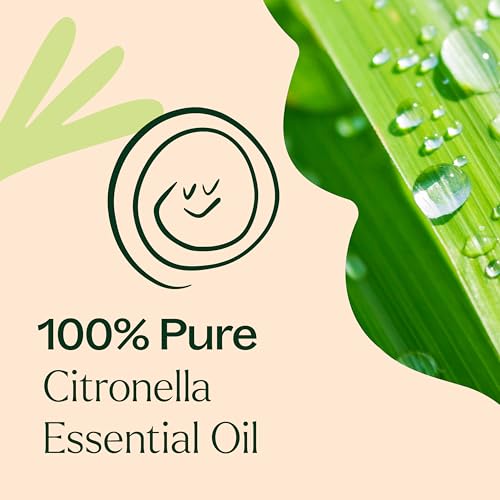 beneficios del aceite de citronela