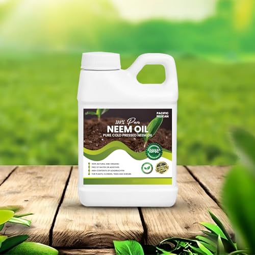 beneficios del aceite de neem