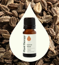 Beneficios del aceite de semilla de zanahoria