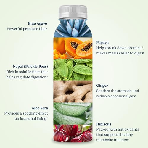 Beneficios del agave azul en tu salud