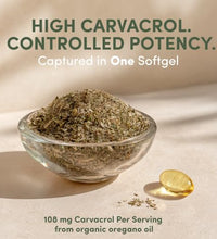 beneficios del carvacrol en orégano