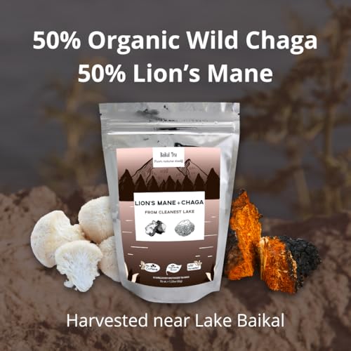 beneficios del chaga silvestre