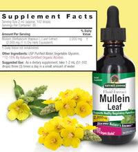beneficios del extracto de mullein