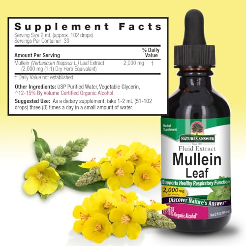beneficios del extracto de mullein