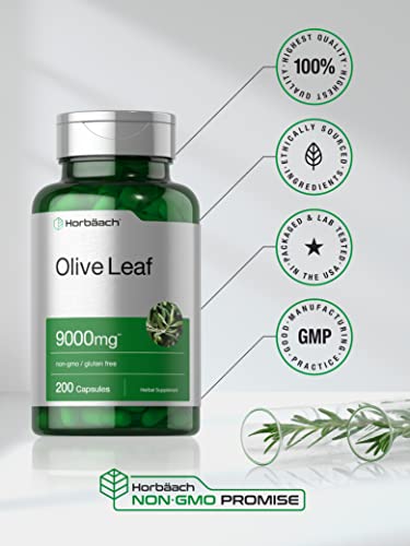 beneficios del extracto de olivo