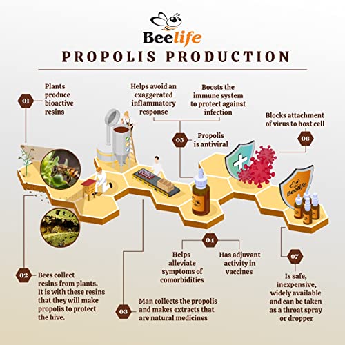 beneficios del extracto de propóleos