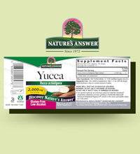beneficios del extracto de raíz de yuca