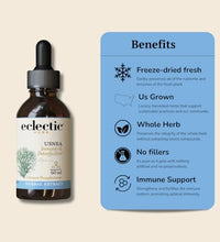 beneficios del extracto de usnea