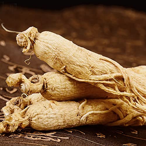 beneficios del ginseng de 16 años