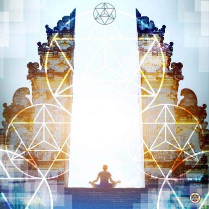 beneficios del hongo medicinal lotus