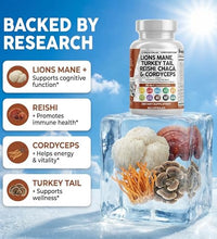 beneficios del hongo melena de león