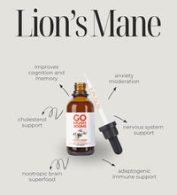 beneficios del hongo melena de león