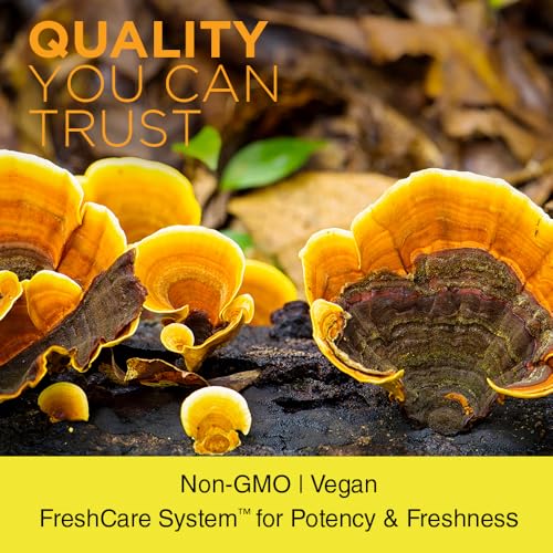 Beneficios del hongo Reishi para el ánimo
