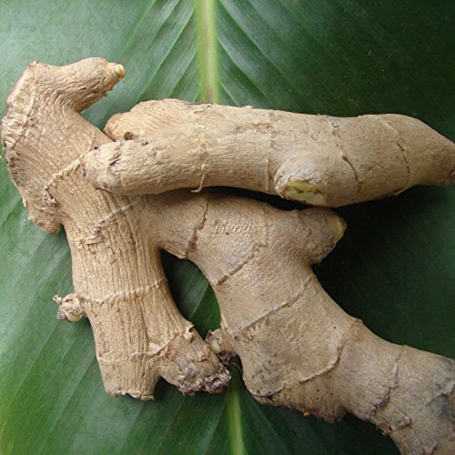 beneficios del jengibre en la salud