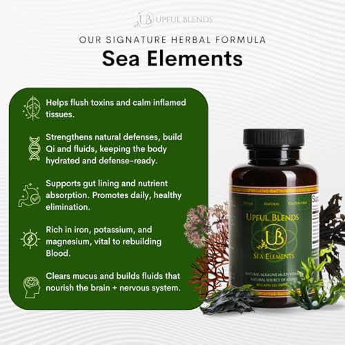 beneficios del kelp en tu dieta