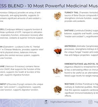 Beneficios del micelio en la salud