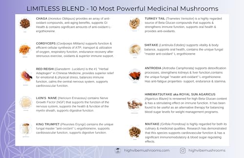 Beneficios del micelio en la salud