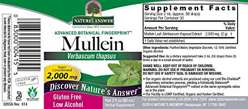 beneficios del mulleín sin gluten
