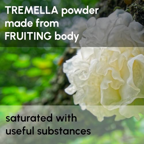Beneficios del polvo de hongo Tremella