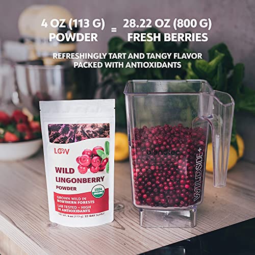 Beneficios del polvo de lingonberry