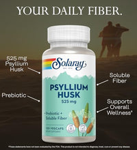 Beneficios del psyllium para el bienestar