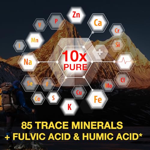 beneficios del shilajit para la salud